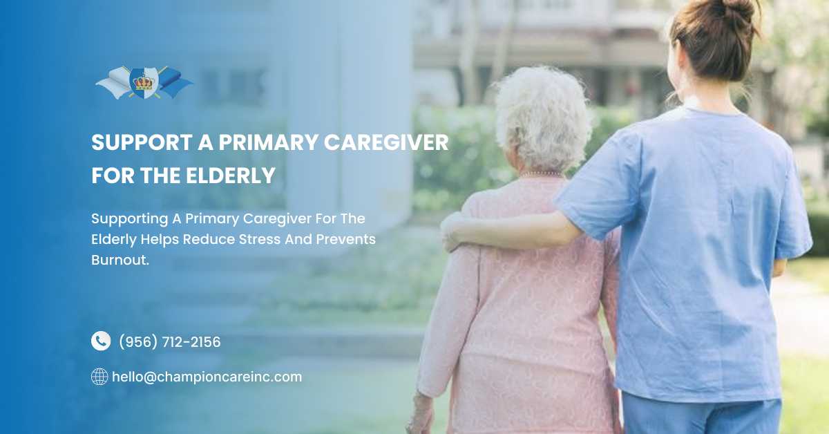 How to Support a Primary Caregiver for Elderly Family Members
